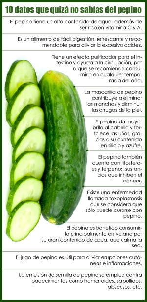 Como Se Dice Pepino En Inglés