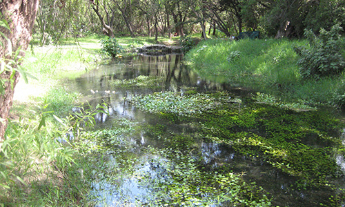 agua_limpia