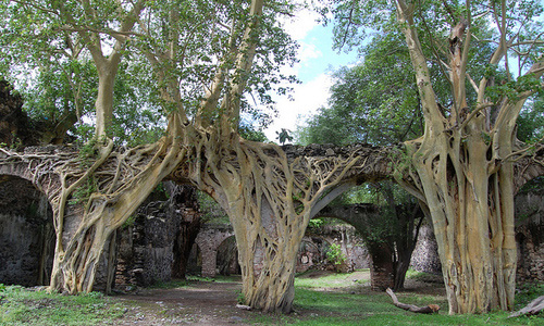 hacienda_san_jacinto_ixtoluca