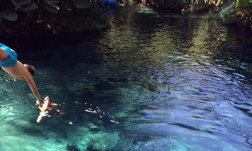 Contacta a Balneario Parque Acuático Las Estacas